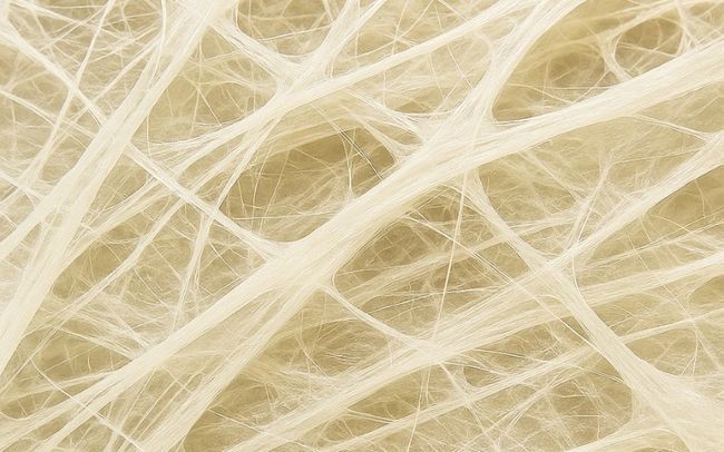 Untitled design – 2025-09-02T140704.029 fascia